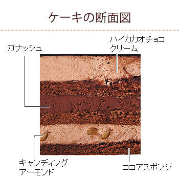 クリスマスプレミアムチョコ生ケーキ