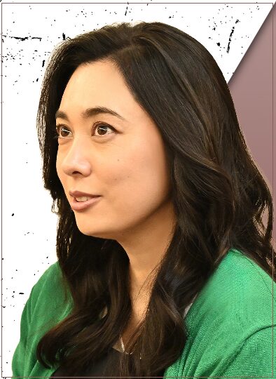 吹石一恵：合六 陽菜子(ごうろく ひなこ)役