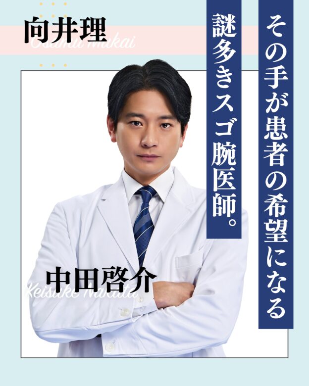 向井理:中田啓介(なかた けいすけ)役